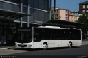 zickenheiner316.jpg