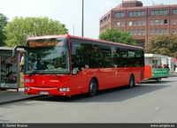 BRS Crossway LE 2013