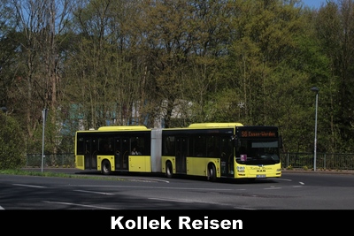 Kollek