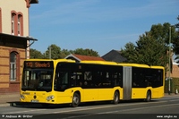 Citaro G C2 2024