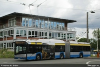 new Trollino 18 2022